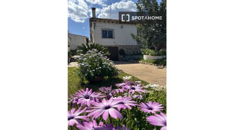 Photo 3 of Room in El Carme - Sant Agustí - Bonavista, L'Eliana