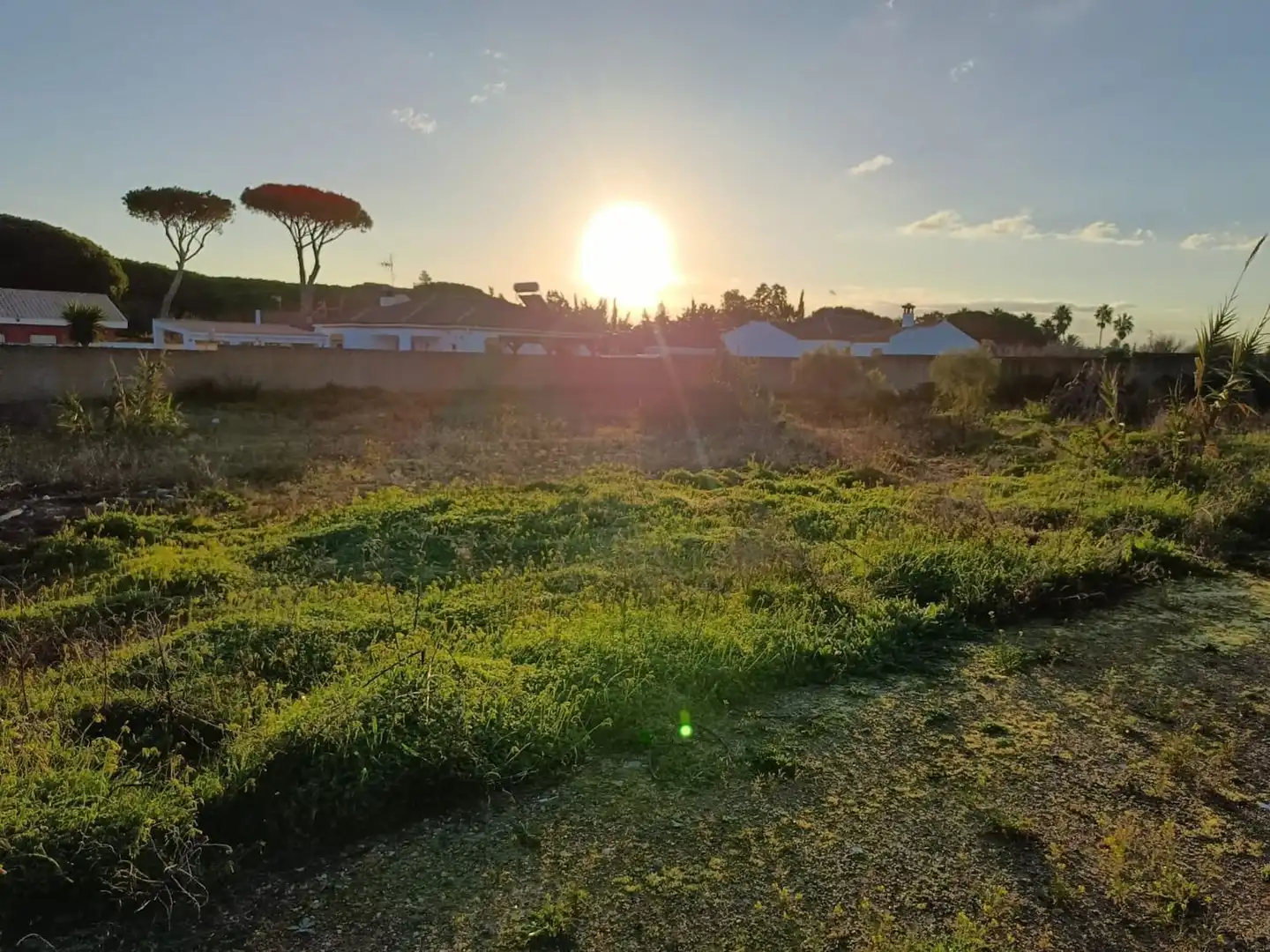 Casa o xalet en venda en Chiclana de la Frontera