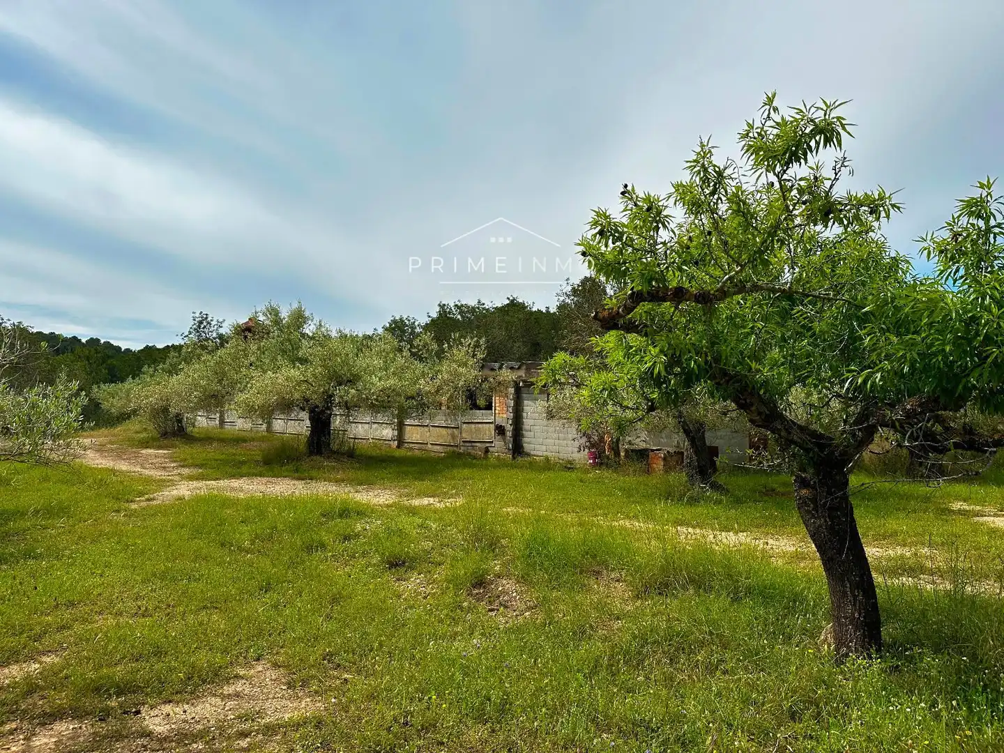 Terreno rústico en venta en Tivissa, imagen 43