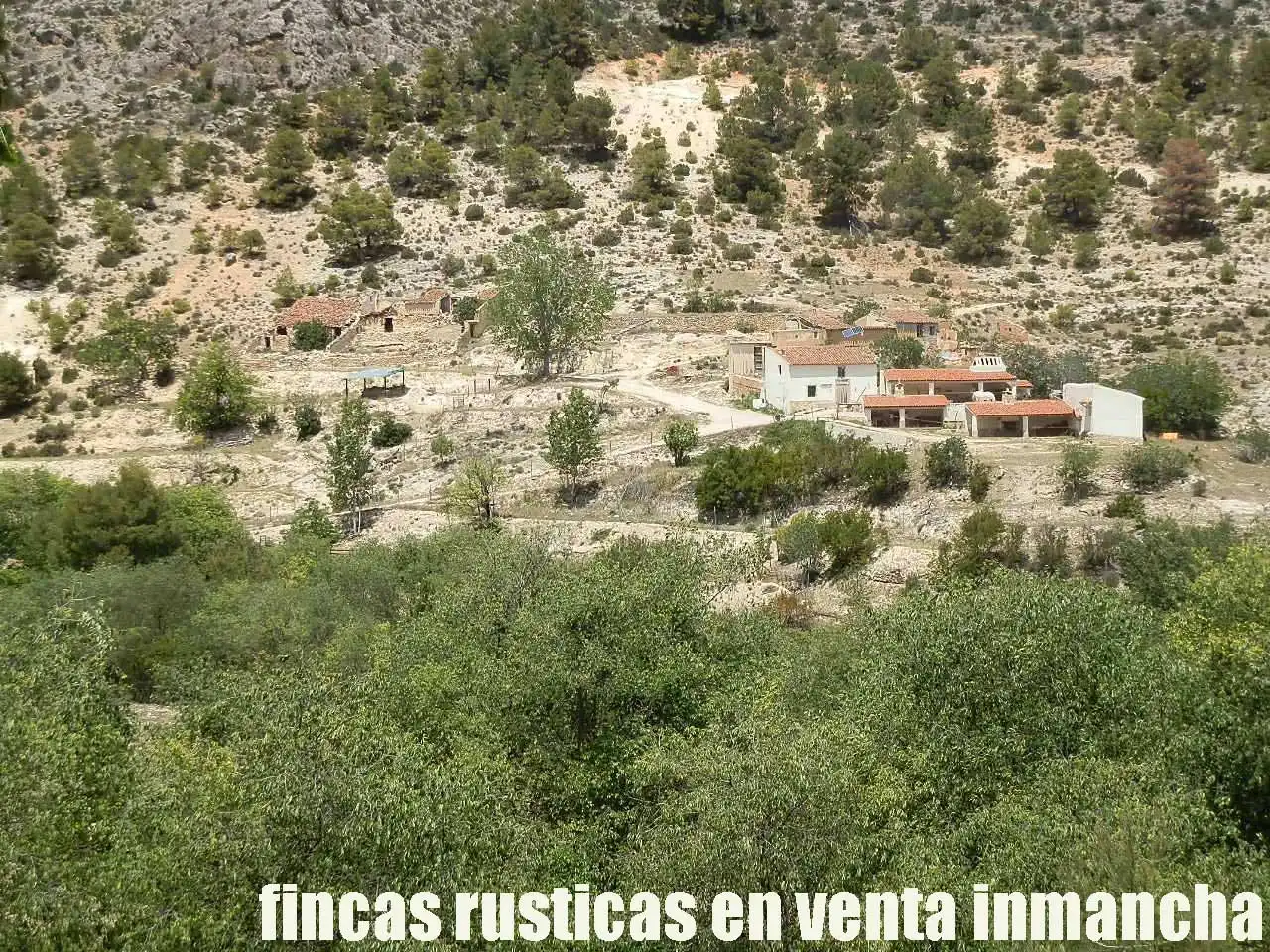 Rural land for sale in Letur, imagen 2