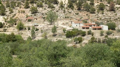 finca en venta 1.000 Has. Caza Mayor en Letur (Albacete), immagine 2