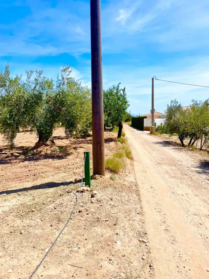Terreny residencial en venda a Vélez-Rubio, imagen 8