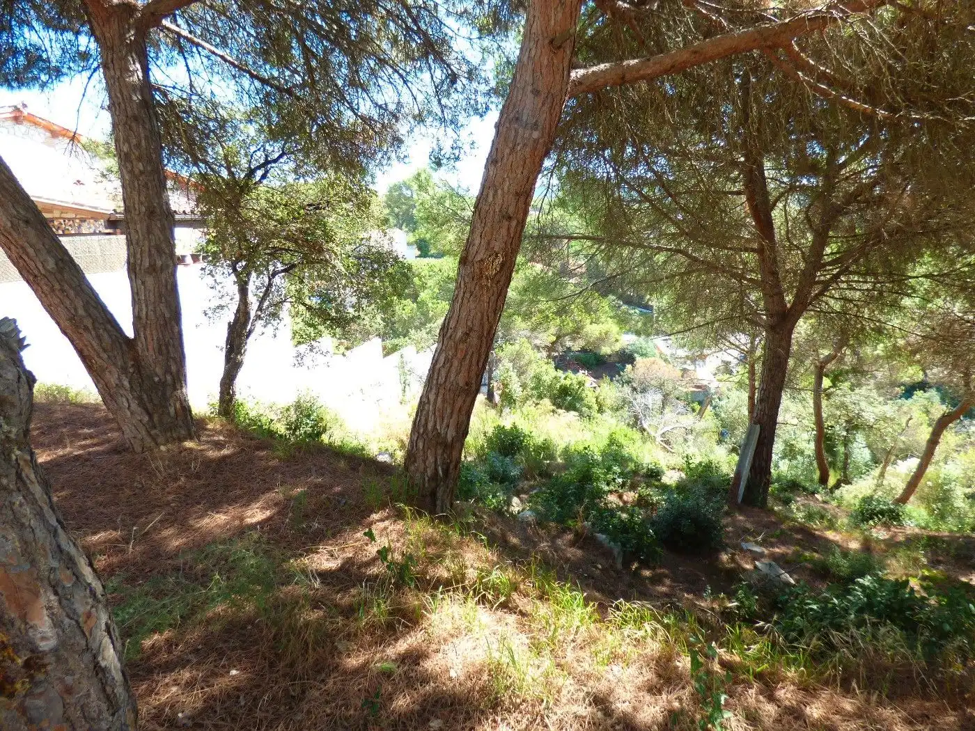 Terreno residencial en venta en Lloret Verd - Els Pinars, imagen 4