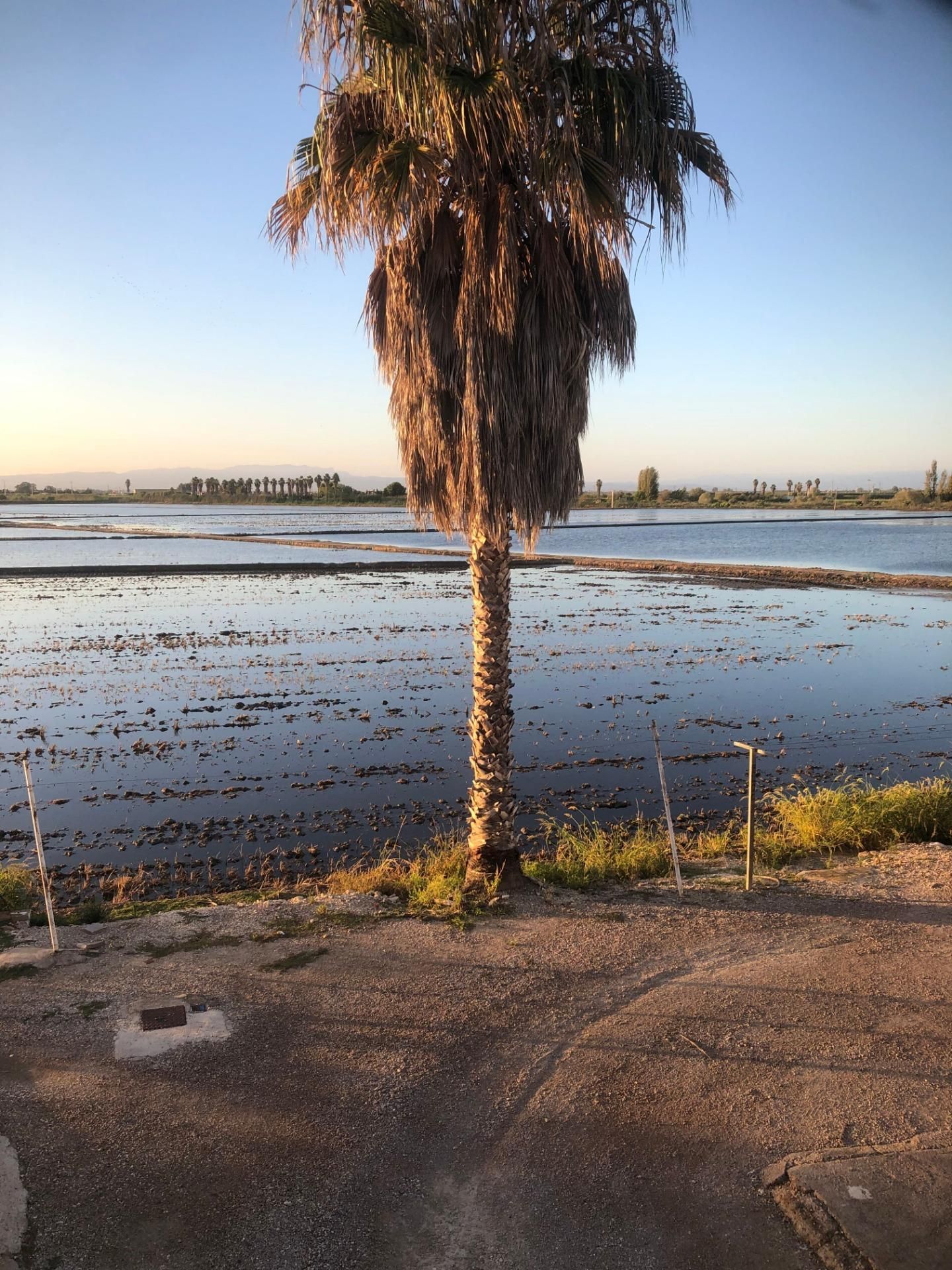 Vista exterior de Apartamento en venta en Amposta con Aire acondicionado y Calefacción