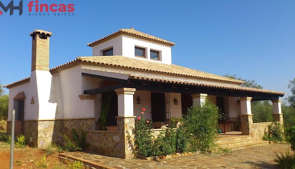 Foto 1 de Finca rústica en venda a  de las Navas a Puebla de Los Infantes, 10, Las Navas de la Concepción, Sevilla