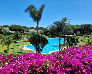 Jardí de Casa o xalet de lloguer en Estepona amb Aire condicionat, Calefacció i Terrassa