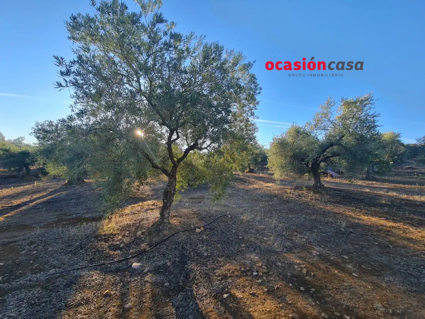 Wohnbaugrundstück zum Verkauf in La Granjuela, imagen 6