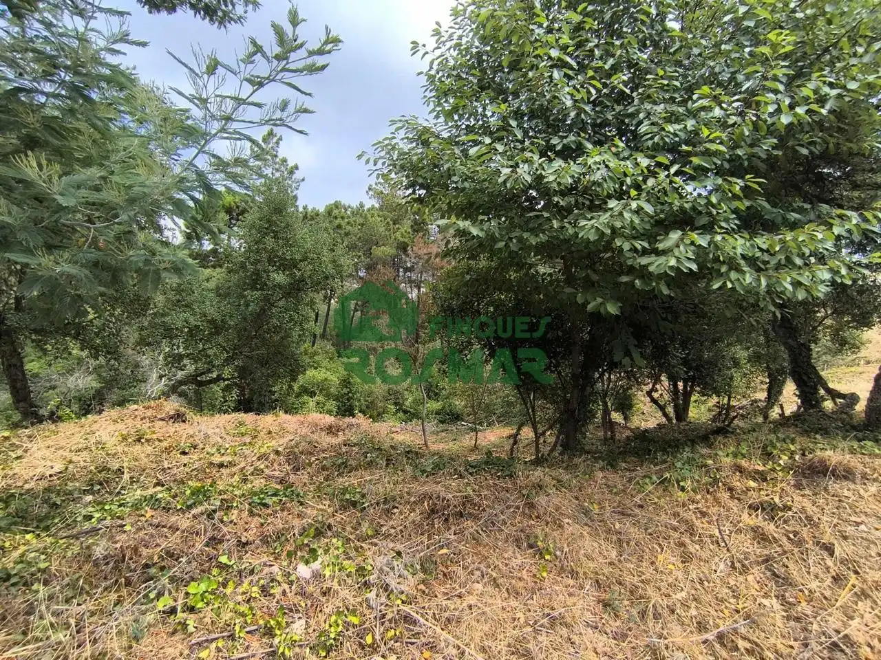Terrenos y solares en venta en Lloret Blau - La Creu de Lloret, imagen 2