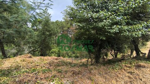 LOTE DE 10 PARCELAS EN LLORET BLAU, OPORTUNIDAD DE INVERSIÓN, imatge 2