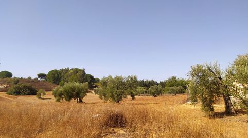 Foto 4 de Residencial en venta en Villarrasa, Huelva