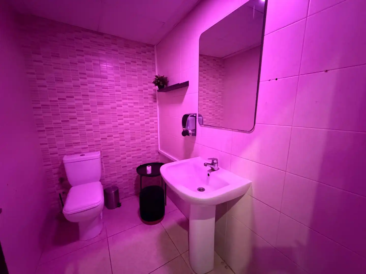 Bathroom of Commercial properties for rent in Alicante / Alacant  with Air Conditioner