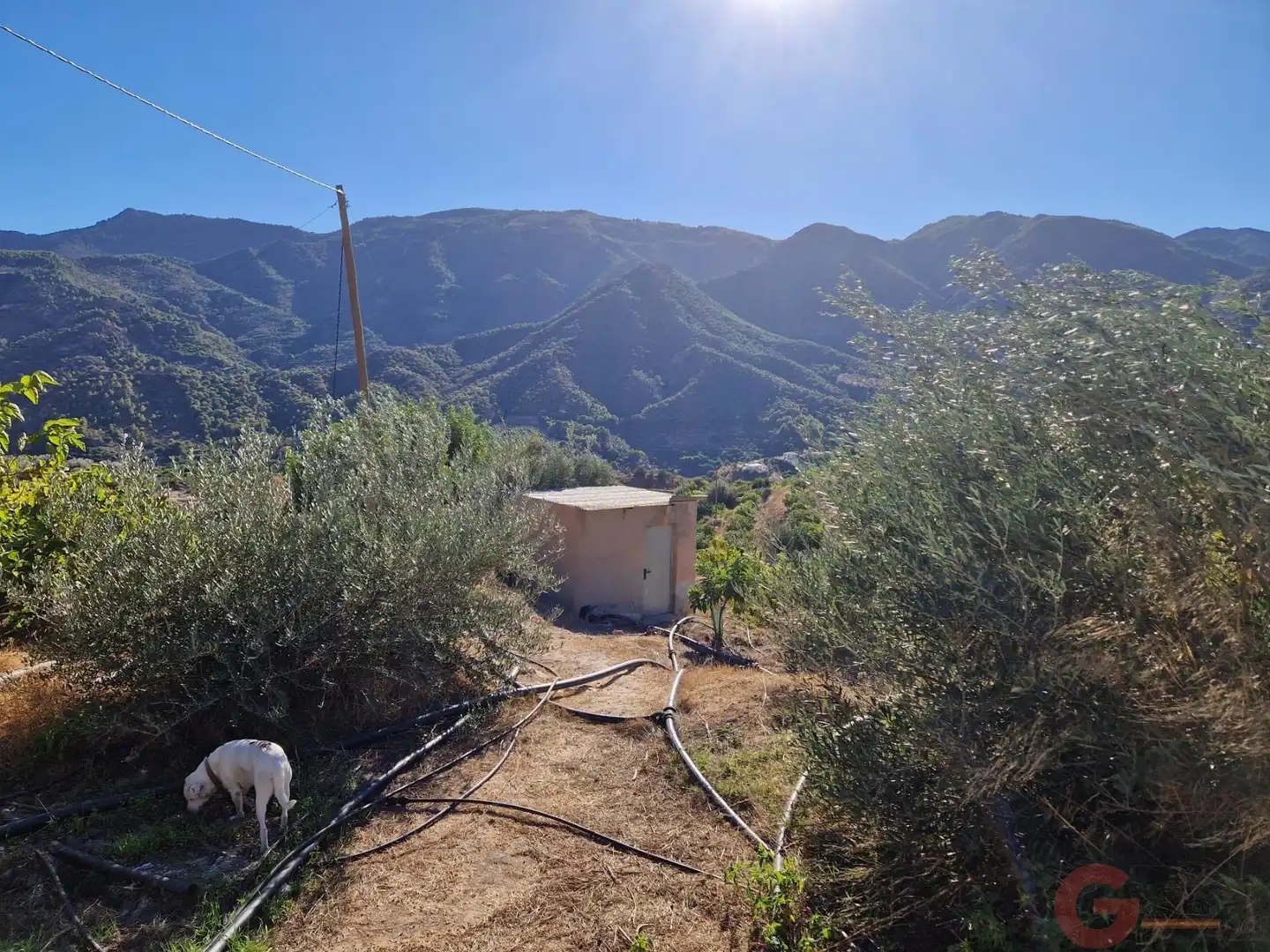 Casa rústica con piscina en venta en Los Guájares, imagen 29