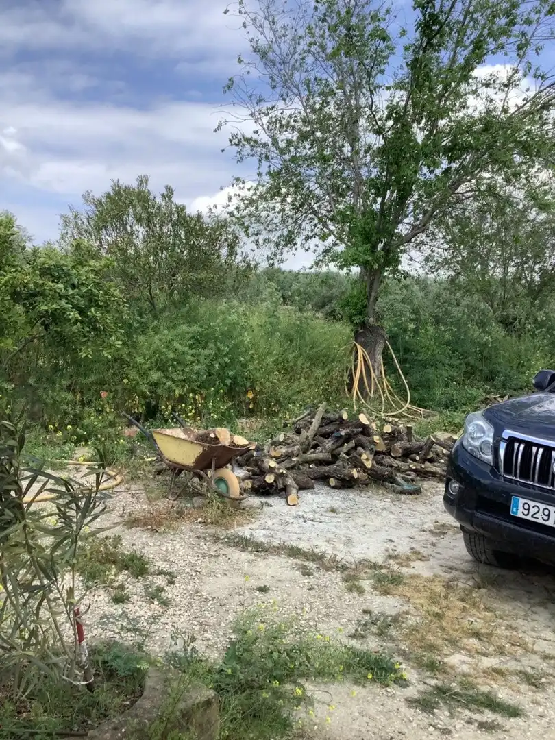 Casa rústica en venta en Montoro, imagen 42