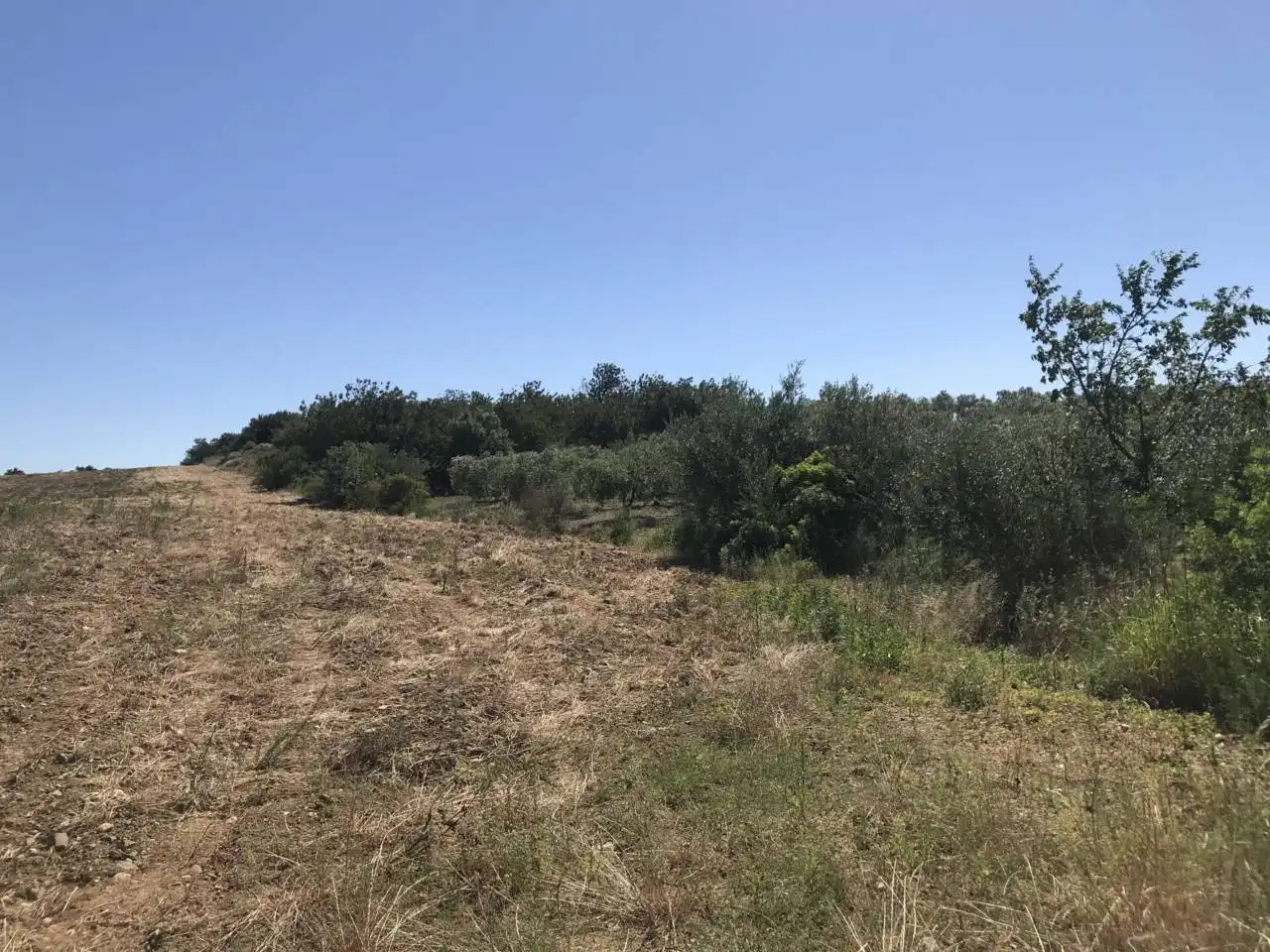 Rustikales Grundstück zum Verkauf in Poligono 1, Parcela 1 y 2, imagen 2