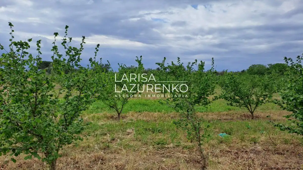 Finca rústica en venda en Vinyols i els Arcs