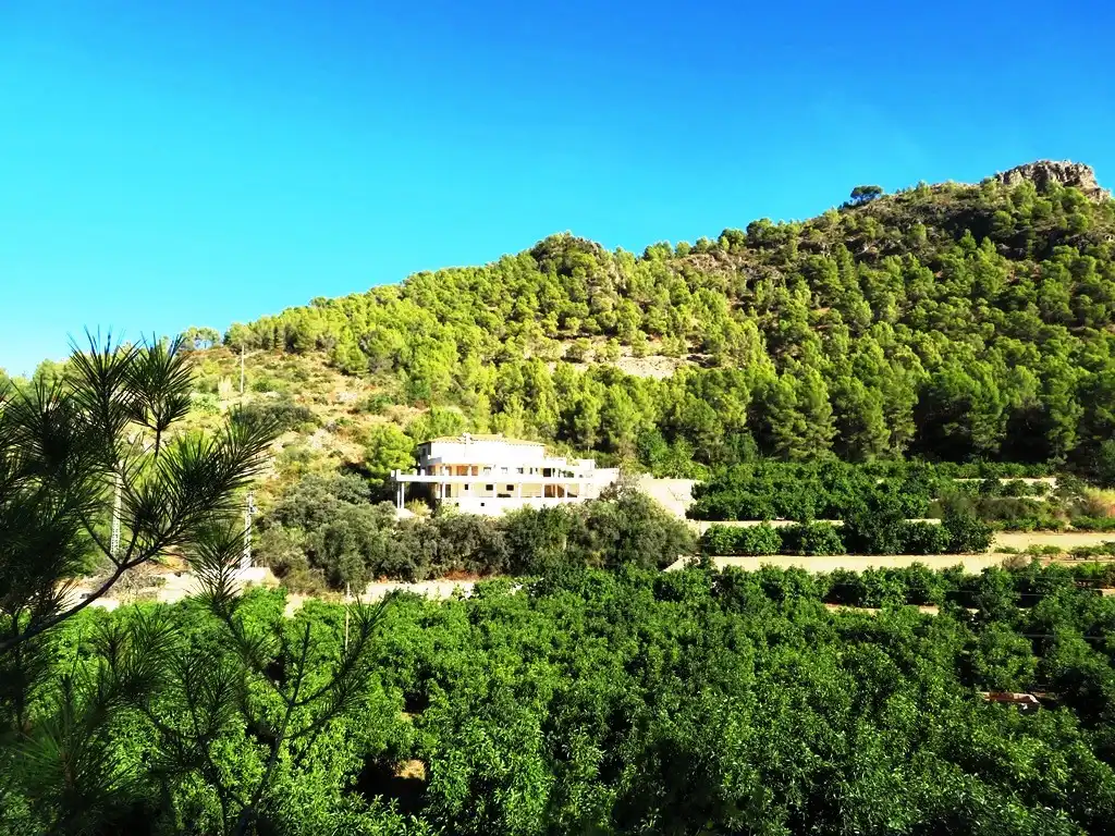 Vista exterior de Casa o xalet en venda en L'Atzúbia amb Jardí privat, Terrassa i Traster