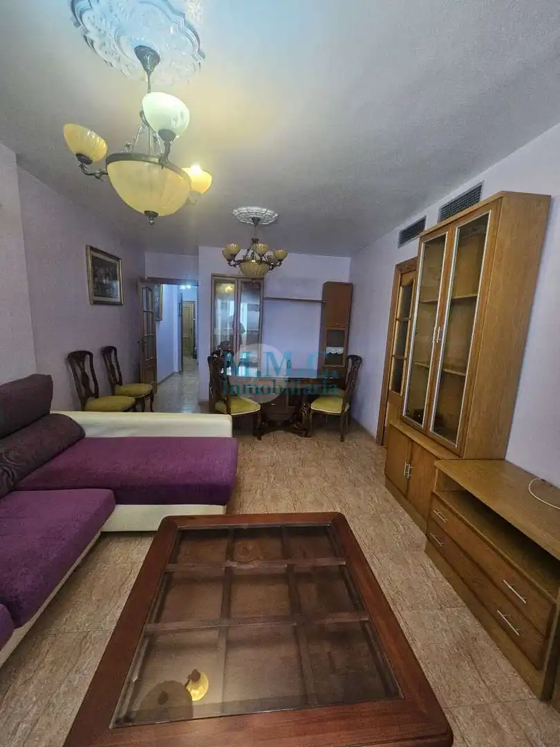 Living room of Flat for sale in Roquetas de Mar  with Air Conditioner, Terrace and Furnished