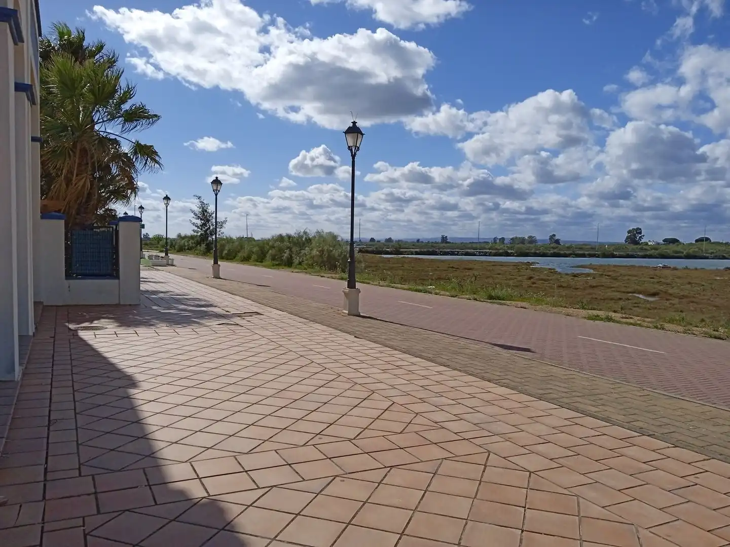 Gewerbefläche zum Verkauf in Paseo Paseo del Pinillo 16D, imagen 3