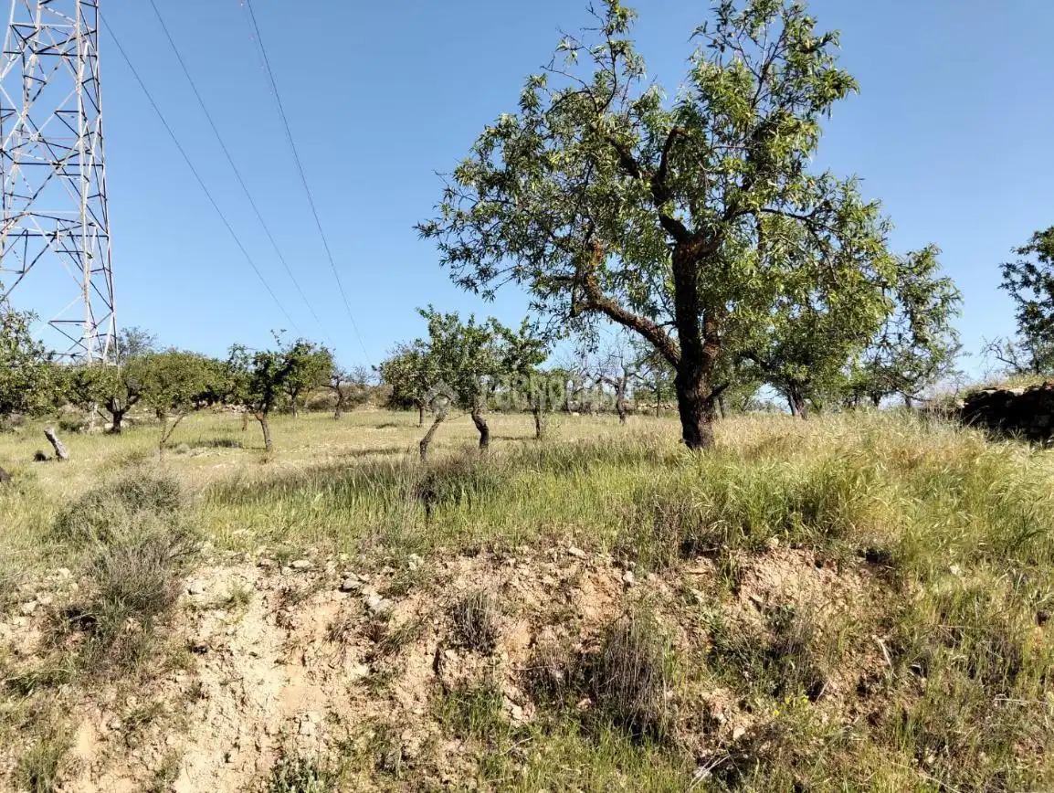 Rural land for sale in Dúrcal, imagen 5