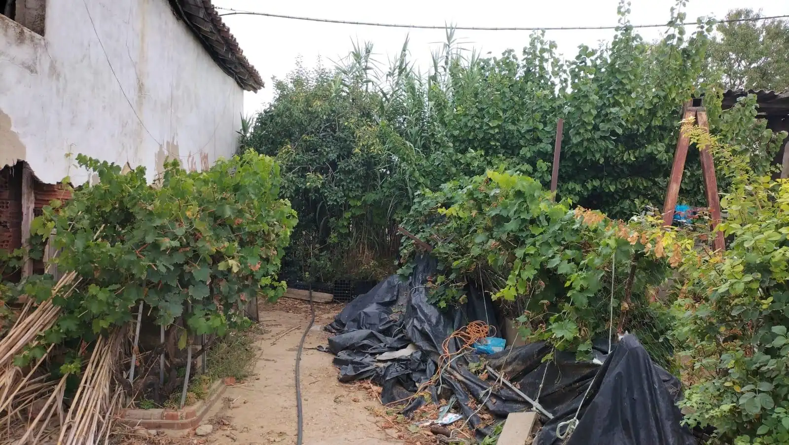 Country homes for sale in Villada