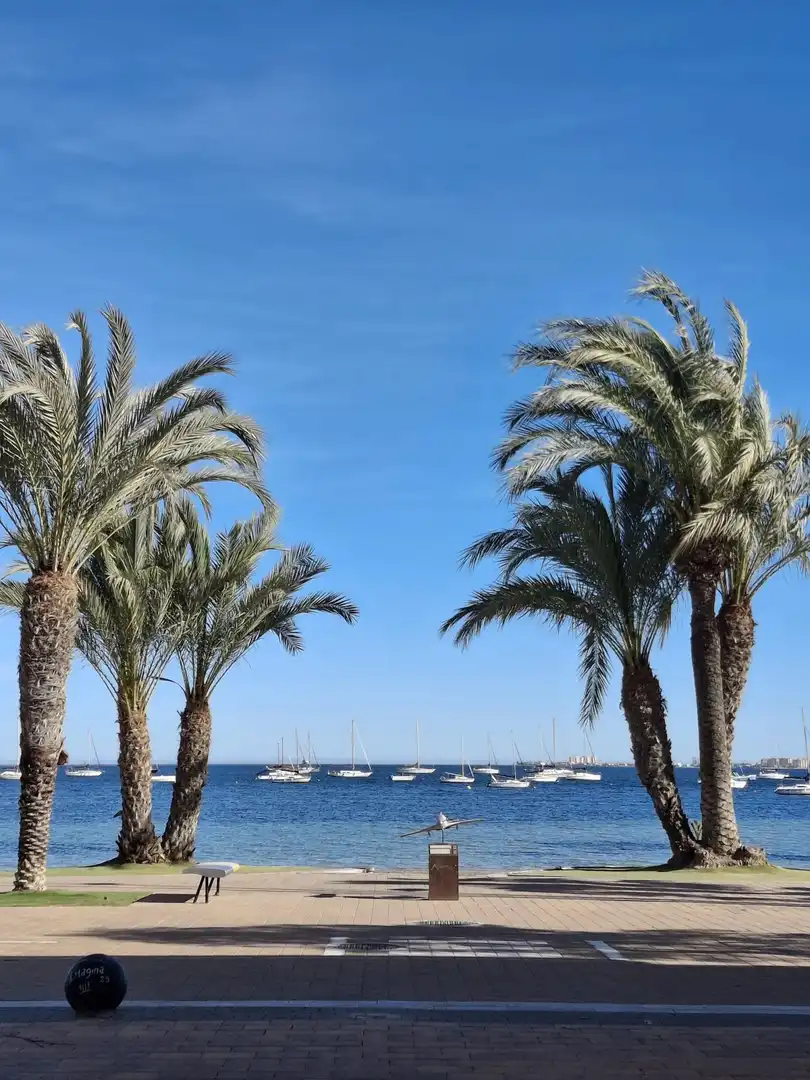 Erdgeschosswohnung mit Pool zum Verkauf in Santiago de la Ribera, imagen 30
