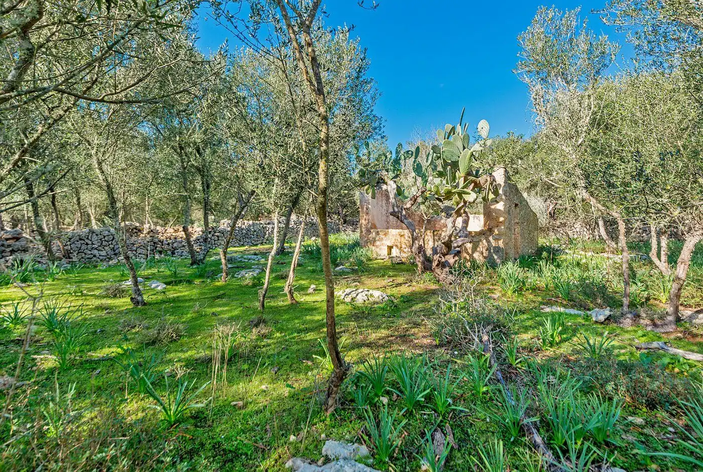 Garden of Country homes for sale in Inca