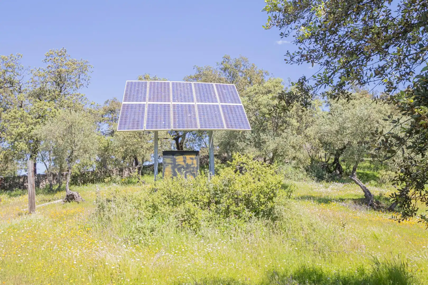 Garten von Grundstücke zum Verkauf in El Pedroso