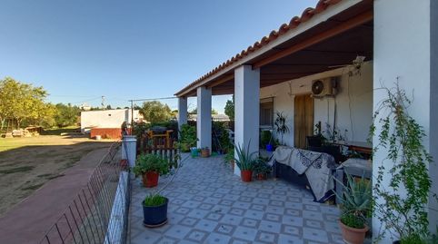 VENTA DE FINCA  EN EL TERMINO MUNICIPAL  DE MERIDA , CON VIVIENDA Y PISCINA .