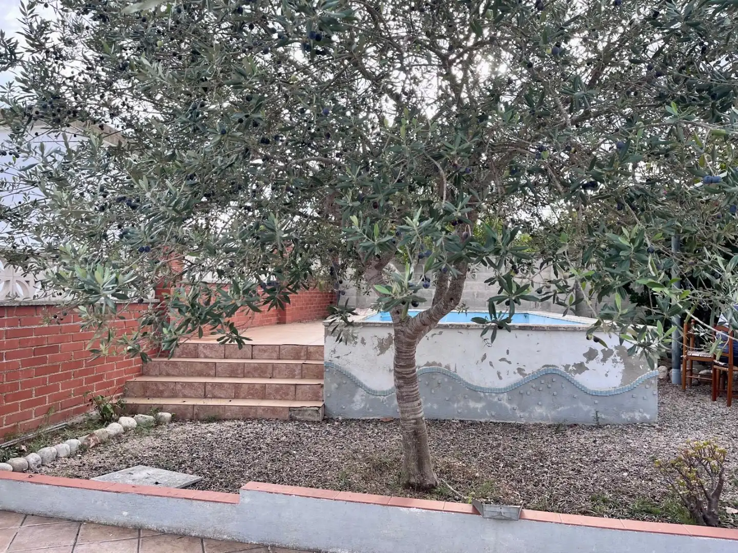 Casa rústica con piscina en venta en Carrer del Vallespir 48, imagen 6