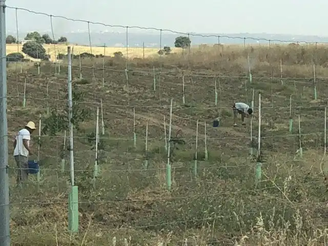Rural land for sale in Centro, imagen 6