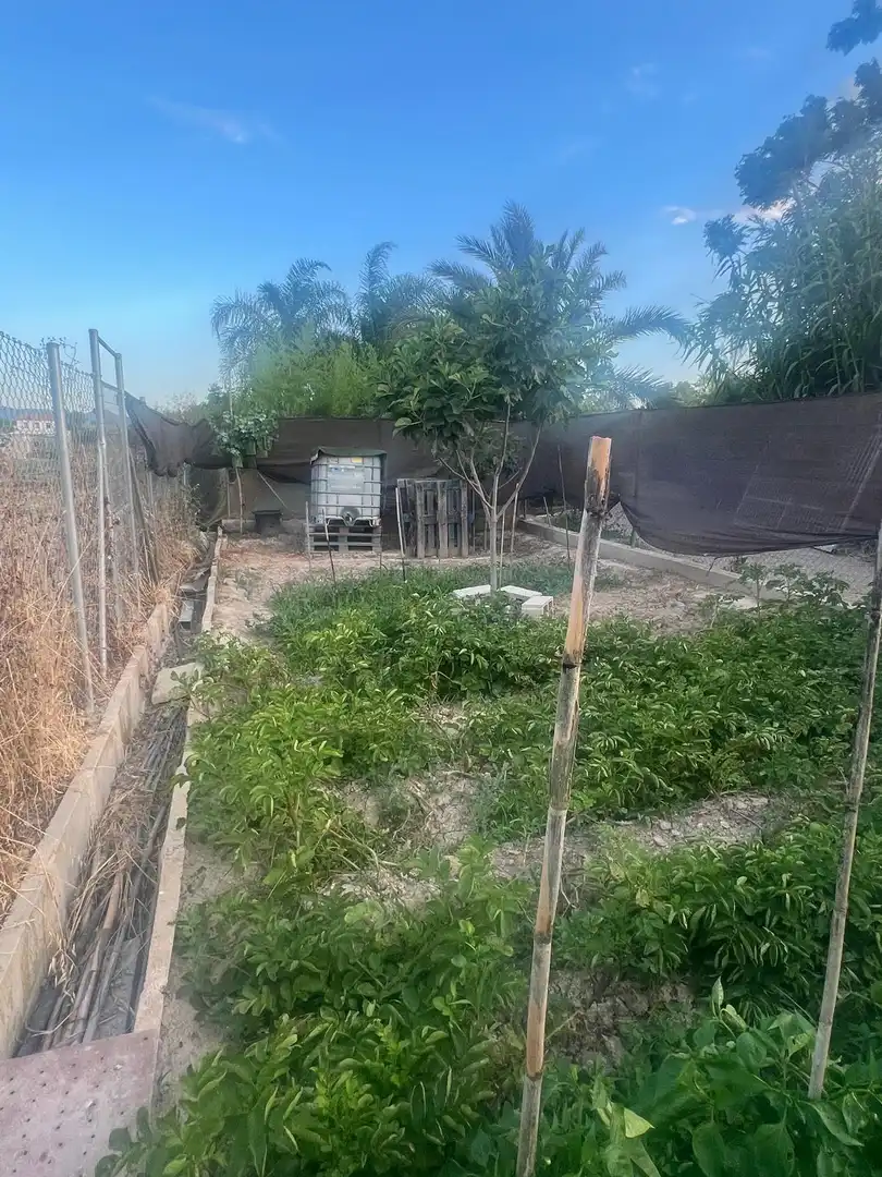 Land for sale in Murcia