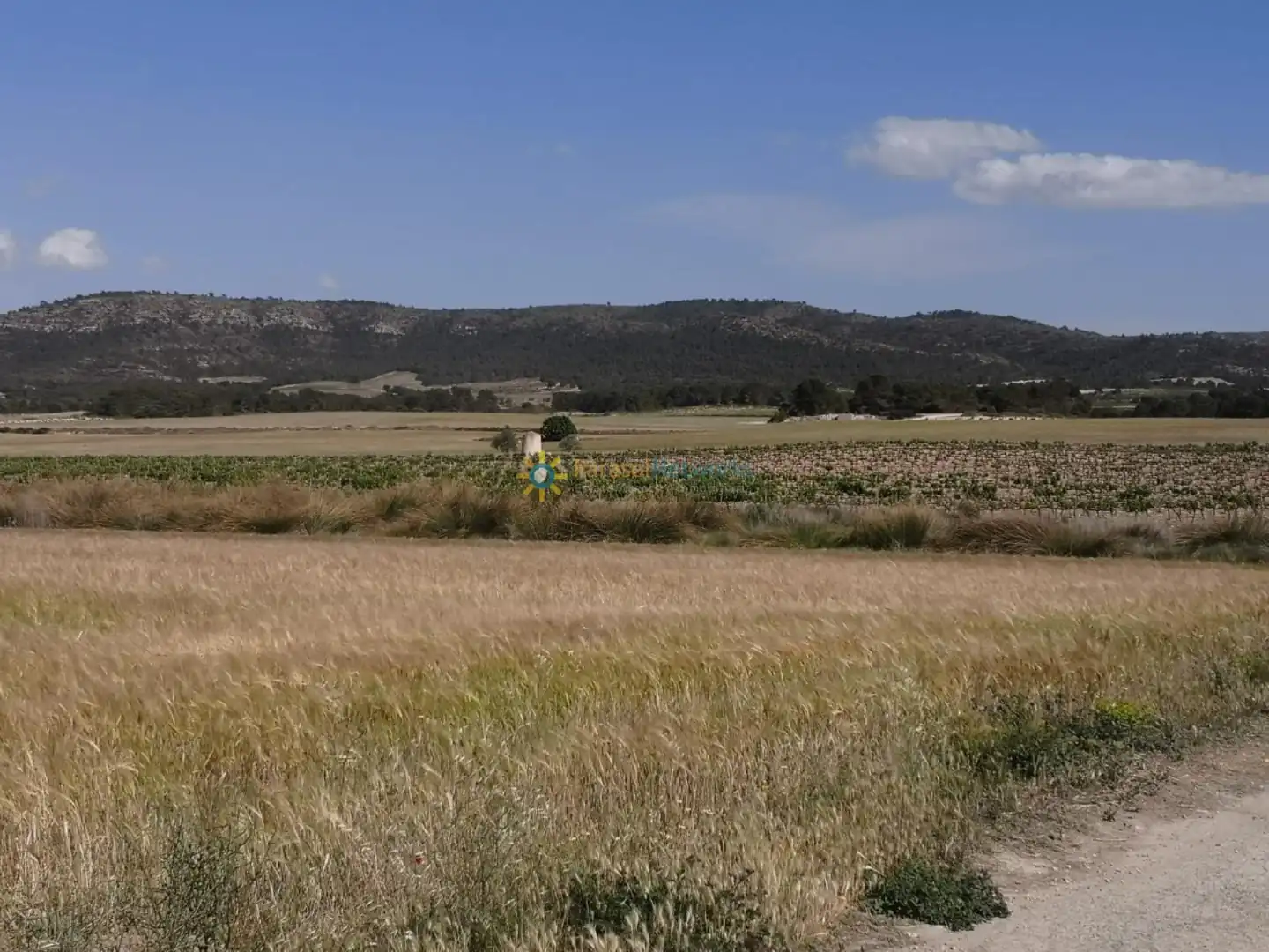 Finca rústica en venda en Villena amb Jardí privat i Traster