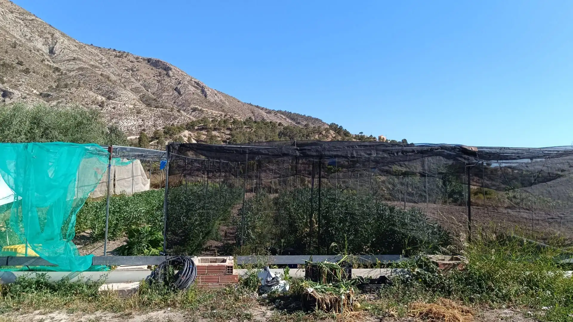 Terrenos y solares en venta en Orxeta, imagen 8