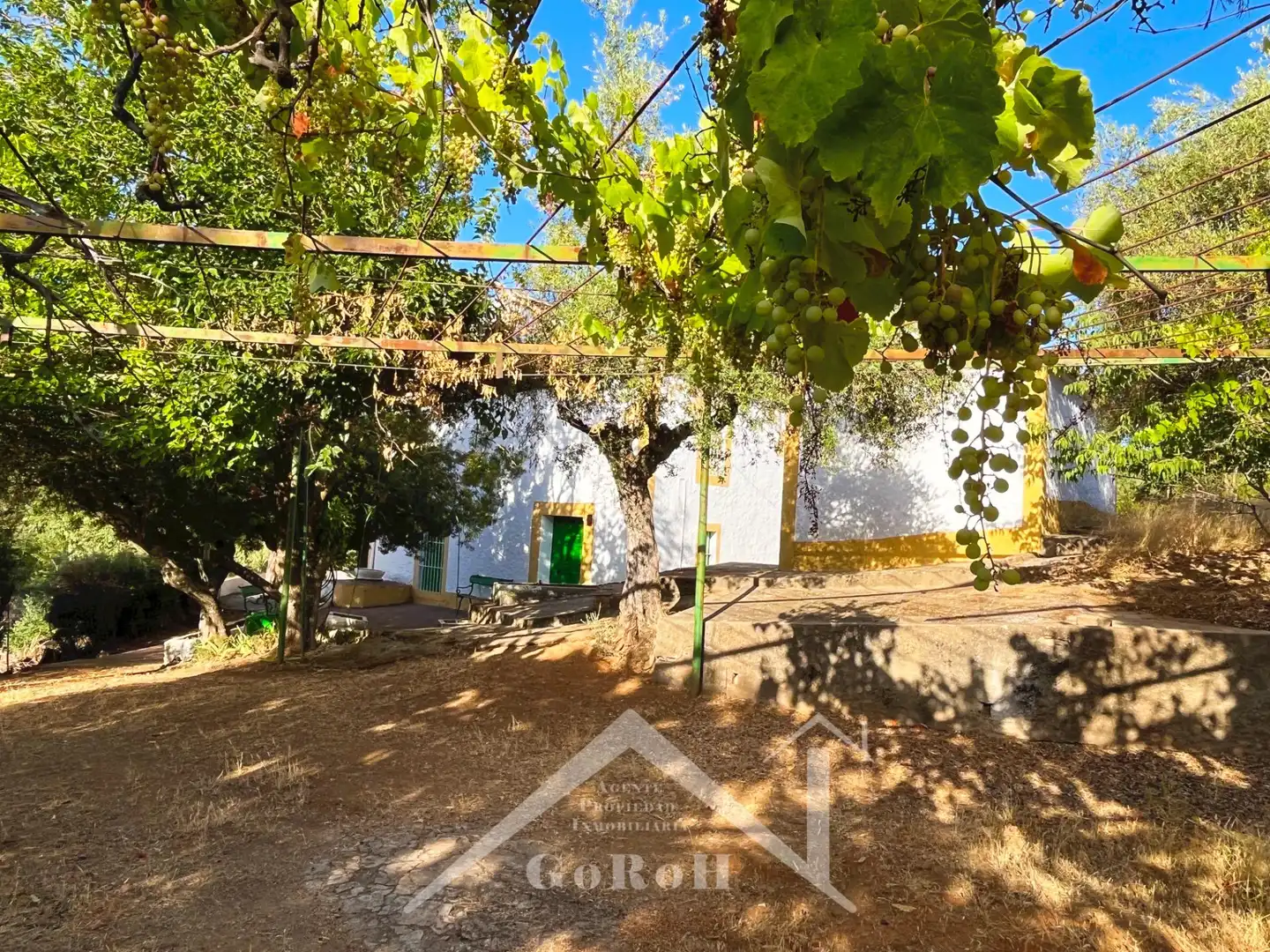 Garden of Land for sale in Constantina