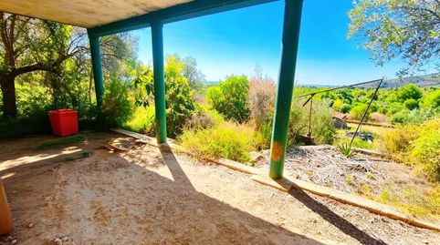Foto 2 de Finca rústica en venta en Cabanes, Castellón