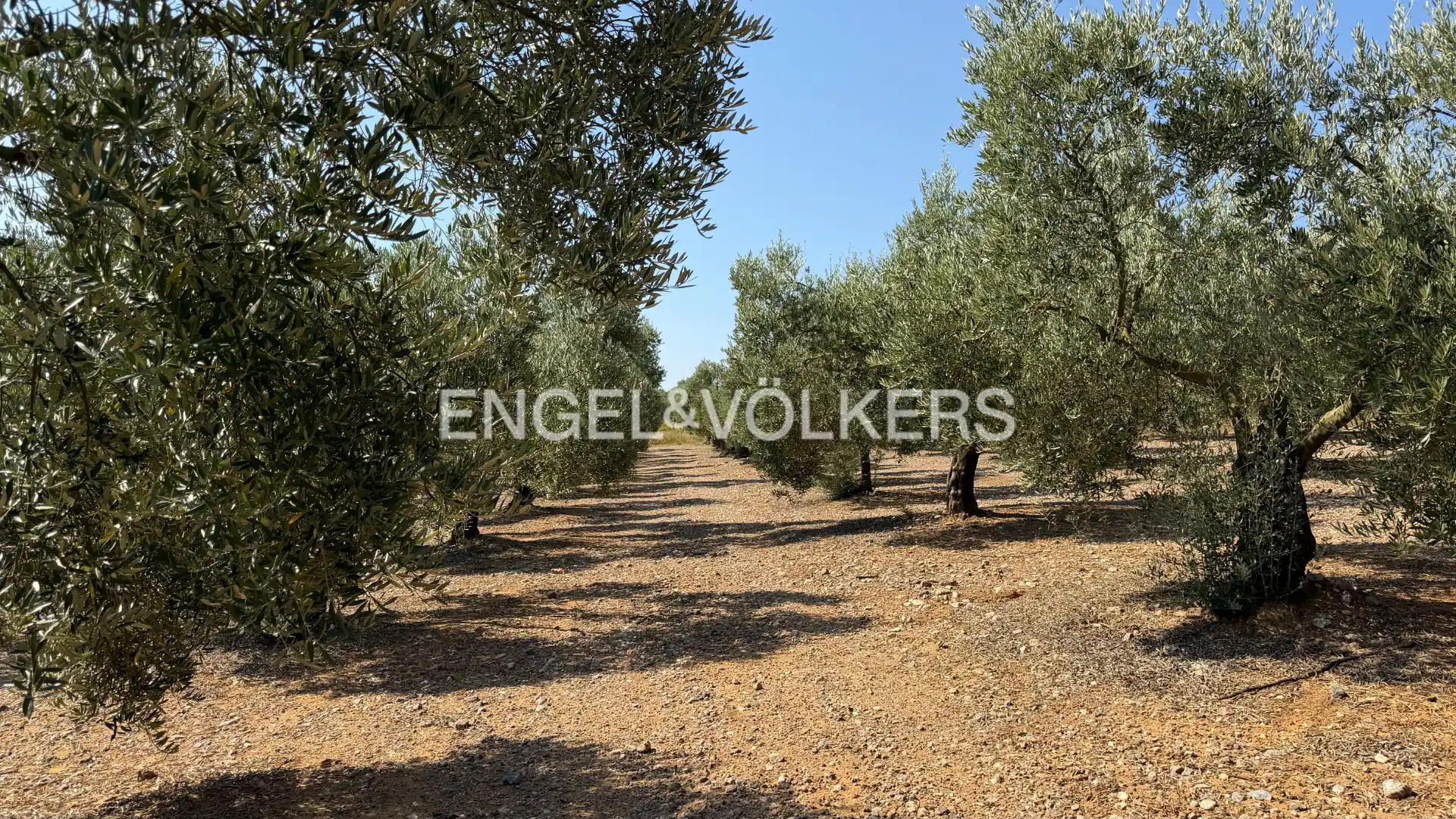 Land for sale in Pedret i Marzà
