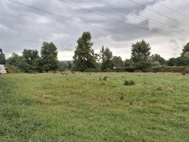Terreno rustico in vendita a MIES DEL MEDIO