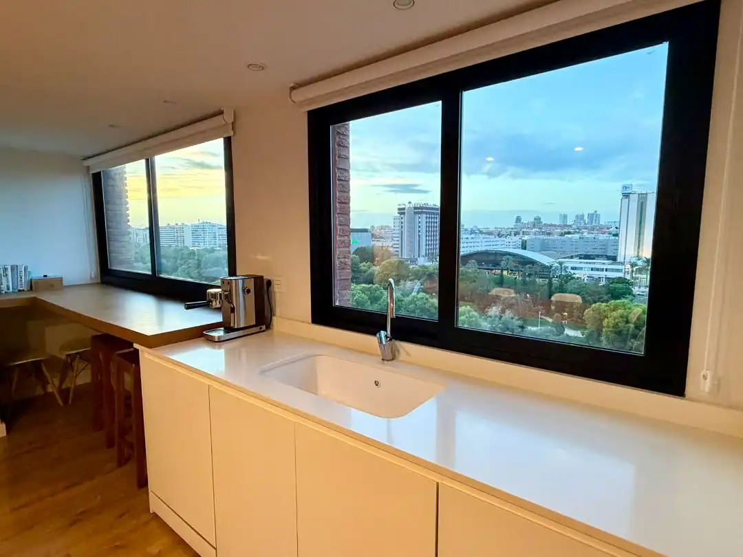 Penthouse mit Aufzug zum Verkauf in Passeig de la Petxina 5, imagen 12