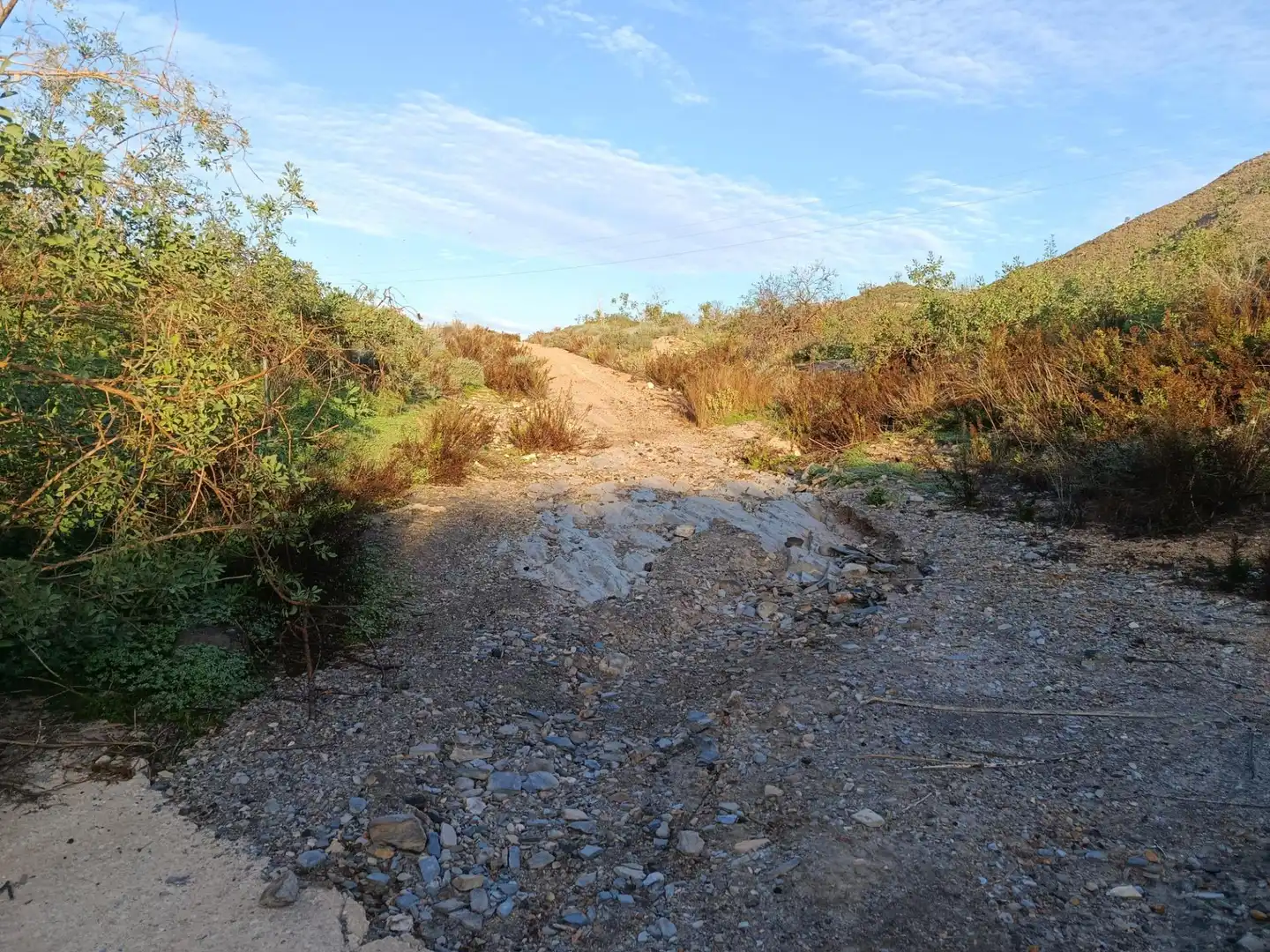 Terreny rústic en venda a Pasaje FUENTE, LA - DS PUERTOS 1, imagen 18