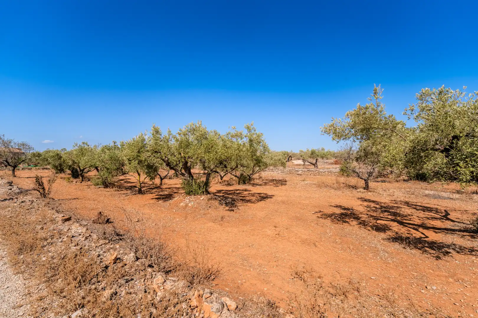 Houses for sale in L'Ampolla  with Private garden, Terrace and Storage room