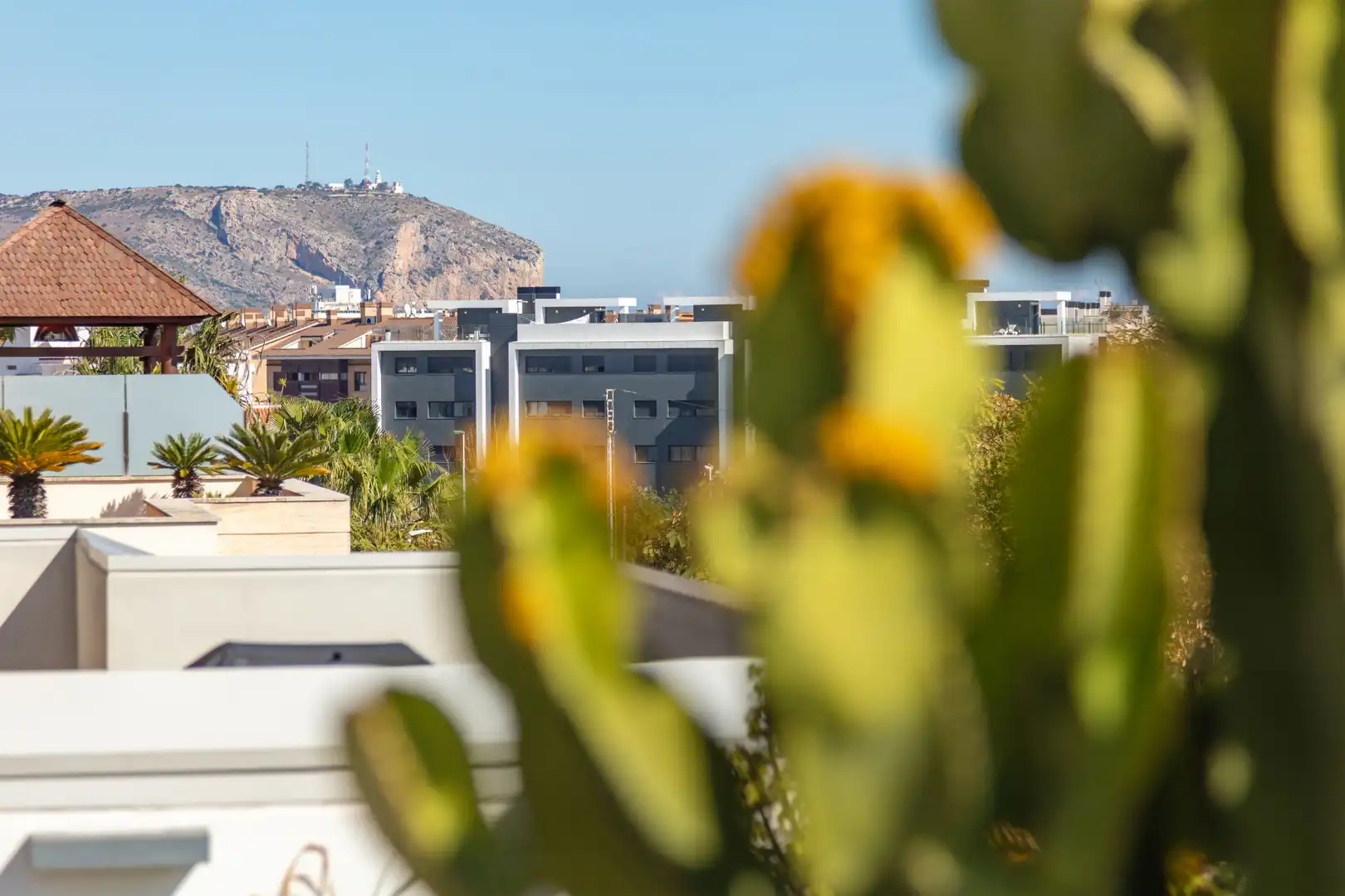 Mini appartamento con piscina in vendita a Montañar - El Arenal, imagen 27