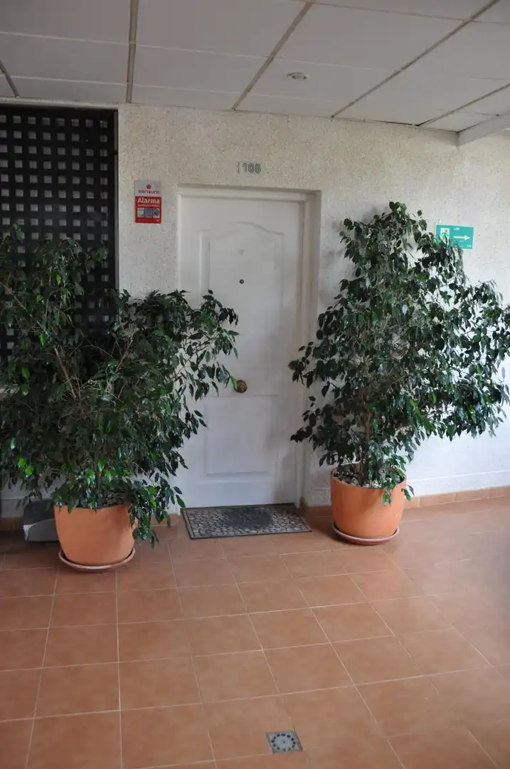 Appartement compact avec piscine à vendre à Monforte del Cid, imagen 19
