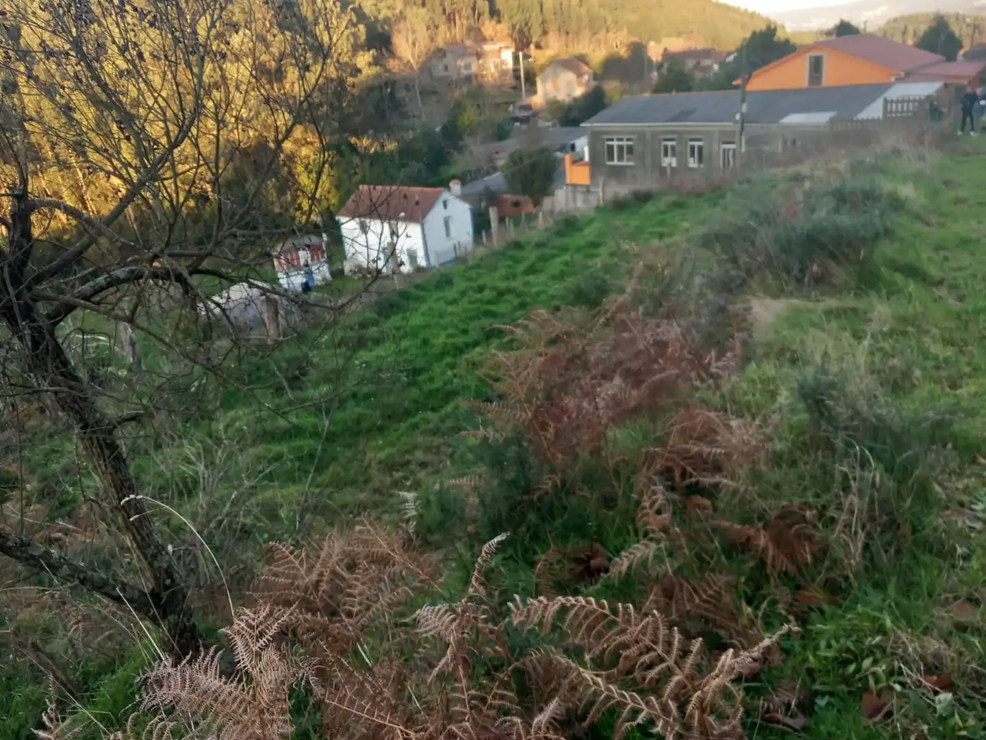 Terreno residenziale in vendita a Área Rural, imagen 2