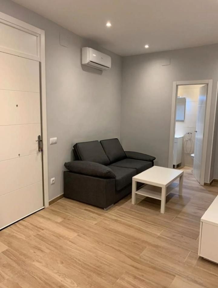 Living room of Flat for rent in  Madrid Capital  with Furnished