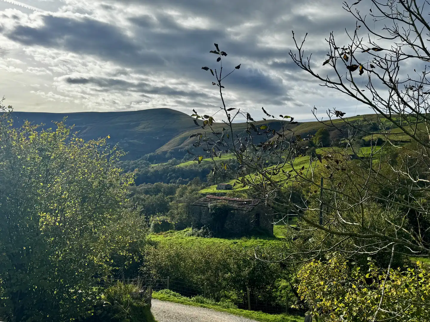 Vista exterior de Casa o xalet en venda en San Roque de Riomiera