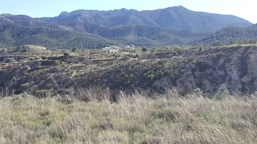 Finca rústica en venta en Ricote