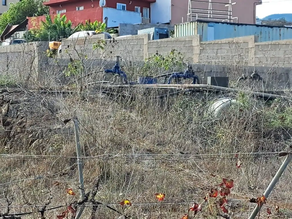 Rural land for sale in El Sauzal, imagen 2