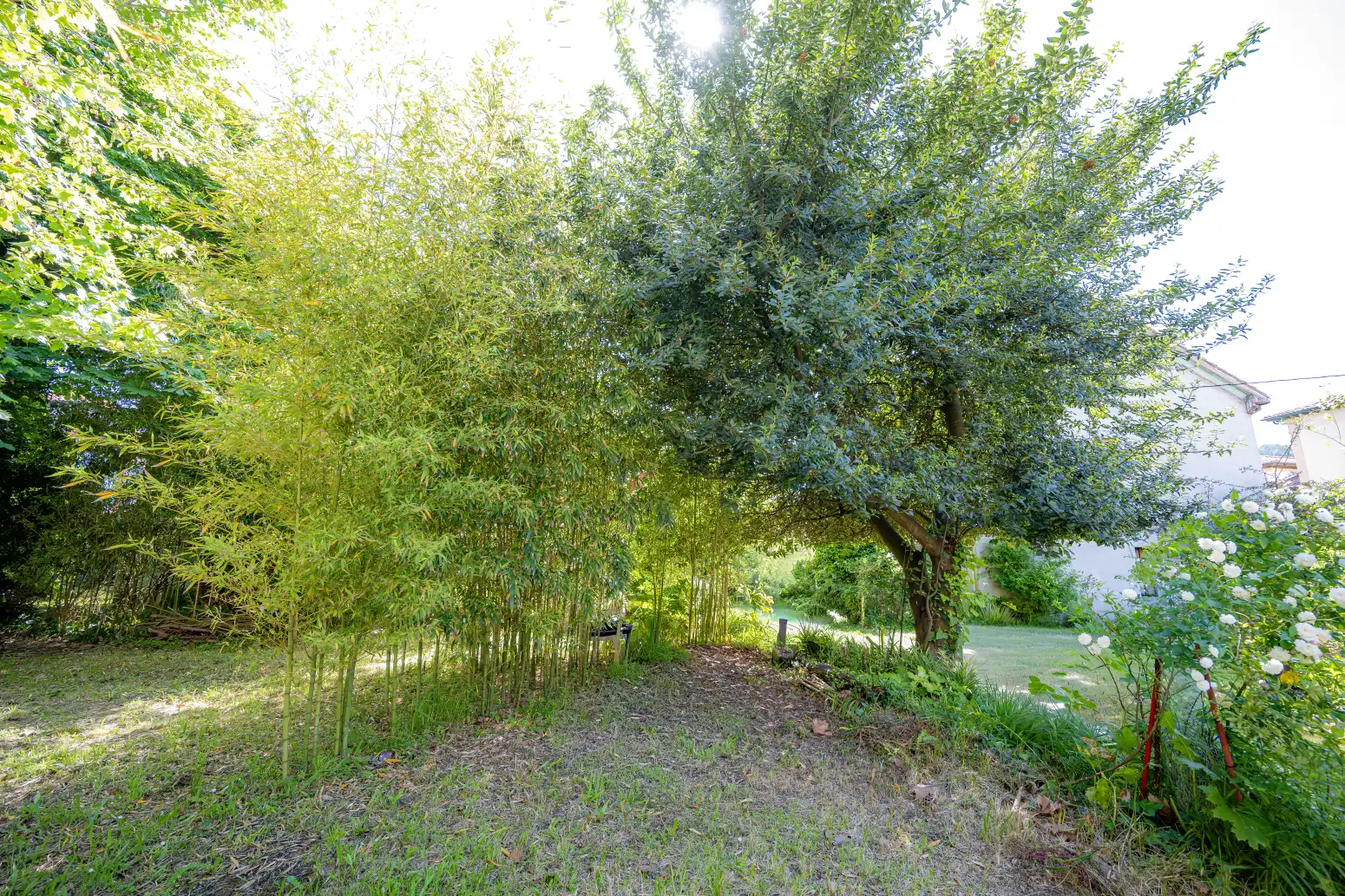 Casa o xalet en venda en Castrillón amb Jardí privat i Parquet