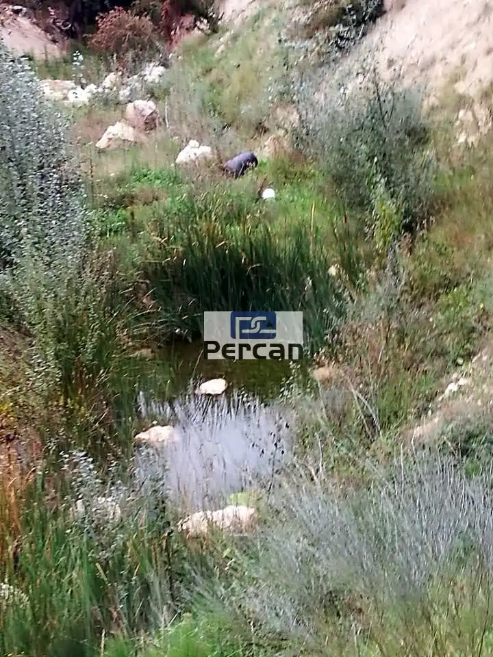 Residencial en venta en Cortes de Baza