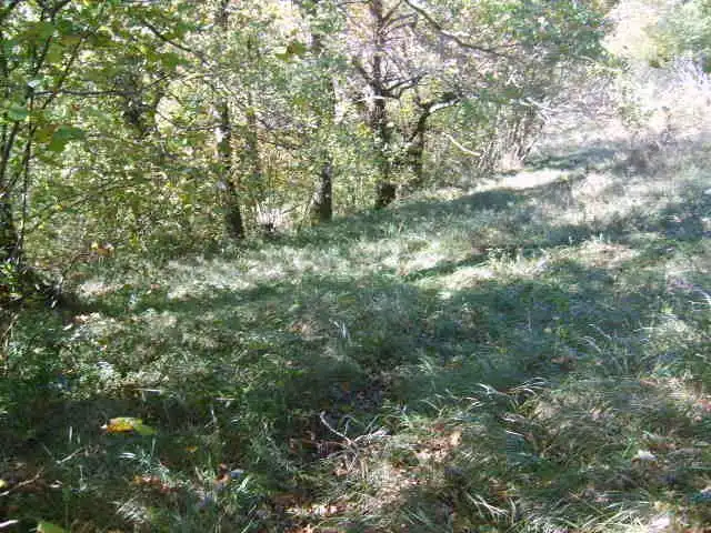 Grundstücke und Bauplätze zum Verkauf in Cangas de Onís, imagen 3